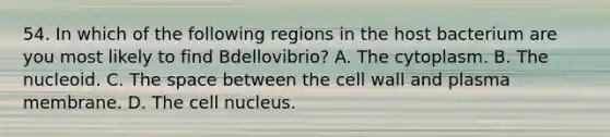 54. In which of the following regions in the host bacterium are you most likely to find Bdellovibrio? A. The cytoplasm. B. The nucleoid. C. The space between the cell wall and plasma membrane. D. The cell nucleus.