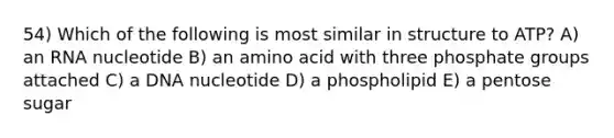 54) Which of the following is most similar in structure to ATP? A) an RNA nucleotide B) an amino acid with three phosphate groups attached C) a DNA nucleotide D) a phospholipid E) a pentose sugar