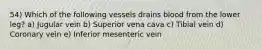 54) Which of the following vessels drains blood from the lower leg? a) Jugular vein b) Superior vena cava c) Tibial vein d) Coronary vein e) Inferior mesenteric vein