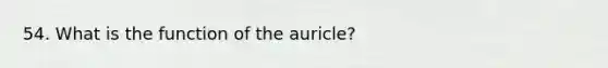 54. What is the function of the auricle?