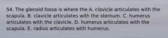 54. The glenoid fossa is where the A. clavicle articulates with the scapula. B. clavicle articulates with the sternum. C. humerus articulates with the clavicle. D. humerus articulates with the scapula. E. radius articulates with humerus.