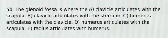 54. The glenoid fossa is where the A) clavicle articulates with the scapula. B) clavicle articulates with the sternum. C) humerus articulates with the clavicle. D) humerus articulates with the scapula. E) radius articulates with humerus.