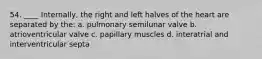 54. ____ Internally, the right and left halves of the heart are separated by the: a. pulmonary semilunar valve b. atrioventricular valve c. papillary muscles d. interatrial and interventricular septa