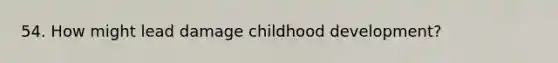 54. How might lead damage childhood development?