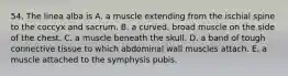 54. The linea alba is A. a muscle extending from the ischial spine to the coccyx and sacrum. B. a curved, broad muscle on the side of the chest. C. a muscle beneath the skull. D. a band of tough connective tissue to which abdominal wall muscles attach. E. a muscle attached to the symphysis pubis.