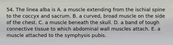 54. The linea alba is A. a muscle extending from the ischial spine to the coccyx and sacrum. B. a curved, broad muscle on the side of the chest. C. a muscle beneath the skull. D. a band of tough connective tissue to which abdominal wall muscles attach. E. a muscle attached to the symphysis pubis.