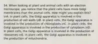 54. When looking at plant and animal cells with an electron microscope, you notice that the plant cells have more Golgi membranes than the animal cells. How might you explain this? nA. In plant cells, the Golgi apparatus is involved in the production of cell walls.nB. In plant cells, the Golgi apparatus is involved in the production of chloroplasts.nC. In plant cells, the Golgi apparatus is involved in the production of cytoplasm.nD. In plant cells, the Golgi apparatus is involved in the production of ribosomes.nE. In plant cells, the Golgi apparatus is involved in the production of mitochondria.