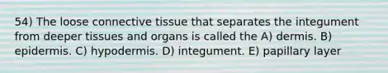 54) The loose connective tissue that separates the integument from deeper tissues and organs is called the A) dermis. B) epidermis. C) hypodermis. D) integument. E) papillary layer