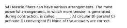 54) Muscle fibers can have various arrangements. The most powerful arrangement, in which more tension is generated during contraction, is called ________. A) circular B) parallel C) pennate D) convergent E) None of the answers are correct.