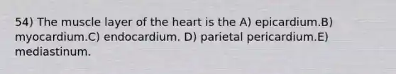 54) The muscle layer of the heart is the A) epicardium.B) myocardium.C) endocardium. D) parietal pericardium.E) mediastinum.