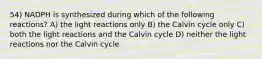 54) NADPH is synthesized during which of the following reactions? A) the light reactions only B) the Calvin cycle only C) both the light reactions and the Calvin cycle D) neither the light reactions nor the Calvin cycle