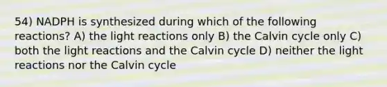 54) NADPH is synthesized during which of the following reactions? A) the light reactions only B) the Calvin cycle only C) both the light reactions and the Calvin cycle D) neither the light reactions nor the Calvin cycle