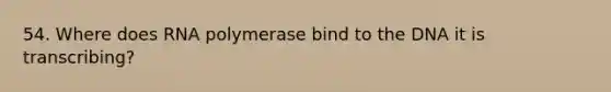 54. Where does RNA polymerase bind to the DNA it is transcribing?