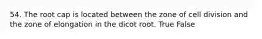 54. The root cap is located between the zone of cell division and the zone of elongation in the dicot root. True False