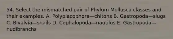 54. Select the mismatched pair of Phylum Mollusca classes and their examples. A. Polyplacophora—chitons B. Gastropoda—slugs C. Bivalvia—snails D. Cephalopoda—nautilus E. Gastropoda—nudibranchs