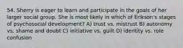 54. Sherry is eager to learn and participate in the goals of her larger social group. She is most likely in which of Erikson's stages of psychosocial development? A) trust vs. mistrust B) autonomy vs. shame and doubt C) initiative vs. guilt D) identity vs. role confusion