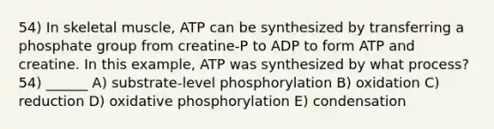 54) In skeletal muscle, ATP can be synthesized by transferring a phosphate group from creatine-P to ADP to form ATP and creatine. In this example, ATP was synthesized by what process? 54) ______ A) substrate-level phosphorylation B) oxidation C) reduction D) oxidative phosphorylation E) condensation