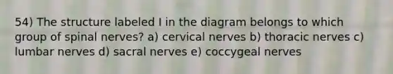 54) The structure labeled I in the diagram belongs to which group of <a href='https://www.questionai.com/knowledge/kyBL1dWgAx-spinal-nerves' class='anchor-knowledge'>spinal nerves</a>? a) cervical nerves b) thoracic nerves c) lumbar nerves d) sacral nerves e) coccygeal nerves