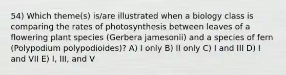 54) Which theme(s) is/are illustrated when a biology class is comparing the rates of photosynthesis between leaves of a flowering plant species (Gerbera jamesonii) and a species of fern (Polypodium polypodioides)? A) I only B) II only C) I and III D) I and VII E) I, III, and V