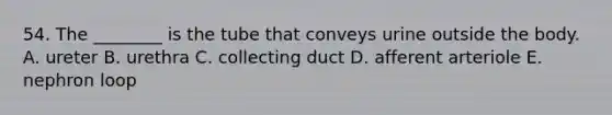 54. The ________ is the tube that conveys urine outside the body. A. ureter B. urethra C. collecting duct D. afferent arteriole E. nephron loop