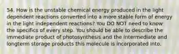 54. How is the unstable chemical energy produced in the light dependent reactions converted into a more stable form of energy in the light independent reactions? You DO NOT need to know the specifics of every step. You should be able to describe the immediate product of photosynthesis and the intermediate and longterm storage products this molecule is incorporated into.