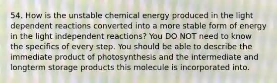 54. How is the unstable chemical energy produced in the light dependent reactions converted into a more stable form of energy in the light independent reactions? You DO NOT need to know the specifics of every step. You should be able to describe the immediate product of photosynthesis and the intermediate and longterm storage products this molecule is incorporated into.