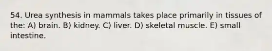 54. Urea synthesis in mammals takes place primarily in tissues of the: A) brain. B) kidney. C) liver. D) skeletal muscle. E) small intestine.