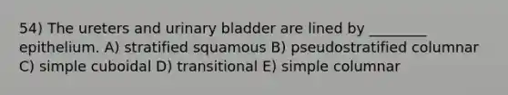 54) The ureters and urinary bladder are lined by ________ epithelium. A) stratified squamous B) pseudostratified columnar C) simple cuboidal D) transitional E) simple columnar