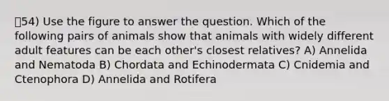 54) Use the figure to answer the question. Which of the following pairs of animals show that animals with widely different adult features can be each other's closest relatives? A) Annelida and Nematoda B) Chordata and Echinodermata C) Cnidemia and Ctenophora D) Annelida and Rotifera