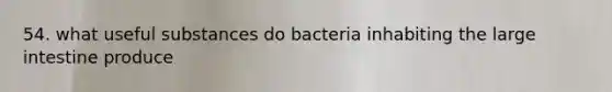 54. what useful substances do bacteria inhabiting the <a href='https://www.questionai.com/knowledge/kGQjby07OK-large-intestine' class='anchor-knowledge'>large intestine</a> produce