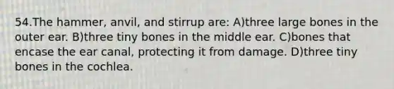 54.The hammer, anvil, and stirrup are: A)three large bones in the outer ear. B)three tiny bones in the middle ear. C)bones that encase the ear canal, protecting it from damage. D)three tiny bones in the cochlea.