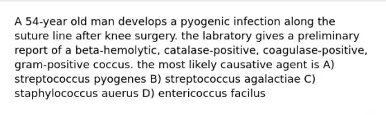 A 54-year old man develops a pyogenic infection along the suture line after knee surgery. the labratory gives a preliminary report of a beta-hemolytic, catalase-positive, coagulase-positive, gram-positive coccus. the most likely causative agent is A) streptococcus pyogenes B) streptococcus agalactiae C) staphylococcus auerus D) entericoccus facilus