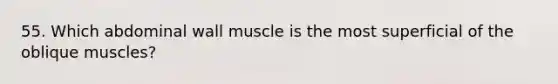 55. Which abdominal wall muscle is the most superficial of the oblique muscles?