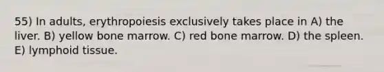 55) In adults, erythropoiesis exclusively takes place in A) the liver. B) yellow bone marrow. C) red bone marrow. D) the spleen. E) lymphoid tissue.