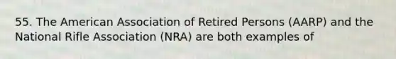 55. The American Association of Retired Persons (AARP) and the National Rifle Association (NRA) are both examples of