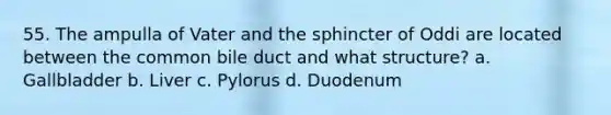 55. The ampulla of Vater and the sphincter of Oddi are located between the common bile duct and what structure? a. Gallbladder b. Liver c. Pylorus d. Duodenum