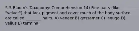 5-5 Bloom's Taxonomy: Comprehension 14) Fine hairs (like "velvet") that lack pigment and cover much of the body surface are called ________ hairs. A) veneer B) gossamer C) lanugo D) vellus E) terminal