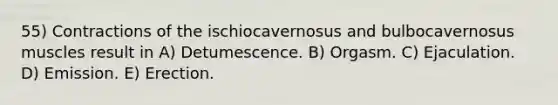 55) Contractions of the ischiocavernosus and bulbocavernosus muscles result in A) Detumescence. B) Orgasm. C) Ejaculation. D) Emission. E) Erection.