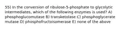 55) In the conversion of ribulose-5-phosphate to glycolytic intermediates, which of the following enzymes is used? A) phosphoglucomutase B) transketolase C) phosphoglycerate mutase D) phosphofructoisomerase E) none of the above