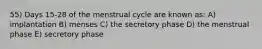 55) Days 15-28 of the menstrual cycle are known as: A) implantation B) menses C) the secretory phase D) the menstrual phase E) secretory phase