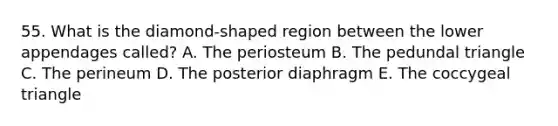 55. What is the diamond-shaped region between the lower appendages called? A. The periosteum B. The pedundal triangle C. The perineum D. The posterior diaphragm E. The coccygeal triangle