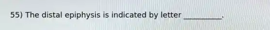 55) The distal epiphysis is indicated by letter __________.