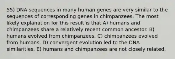 55) DNA sequences in many human genes are very similar to the sequences of corresponding genes in chimpanzees. The most likely explanation for this result is that A) humans and chimpanzees share a relatively recent common ancestor. B) humans evolved from chimpanzees. C) chimpanzees evolved from humans. D) convergent evolution led to the DNA similarities. E) humans and chimpanzees are not closely related.