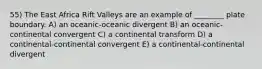 55) The East Africa Rift Valleys are an example of ________ plate boundary. A) an oceanic-oceanic divergent B) an oceanic-continental convergent C) a continental transform D) a continental-continental convergent E) a continental-continental divergent