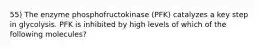 55) The enzyme phosphofructokinase (PFK) catalyzes a key step in glycolysis. PFK is inhibited by high levels of which of the following molecules?