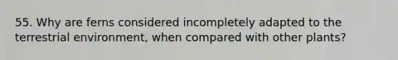 55. Why are ferns considered incompletely adapted to the terrestrial environment, when compared with other plants?