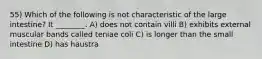 55) Which of the following is not characteristic of the large intestine? It ________. A) does not contain villi B) exhibits external muscular bands called teniae coli C) is longer than the small intestine D) has haustra