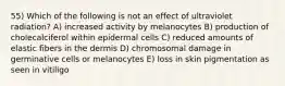 55) Which of the following is not an effect of ultraviolet radiation? A) increased activity by melanocytes B) production of cholecalciferol within epidermal cells C) reduced amounts of elastic fibers in the dermis D) chromosomal damage in germinative cells or melanocytes E) loss in skin pigmentation as seen in vitiligo