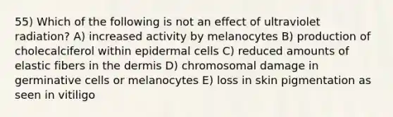 55) Which of the following is not an effect of ultraviolet radiation? A) increased activity by melanocytes B) production of cholecalciferol within epidermal cells C) reduced amounts of elastic fibers in the dermis D) chromosomal damage in germinative cells or melanocytes E) loss in skin pigmentation as seen in vitiligo