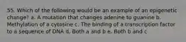 55. Which of the following would be an example of an epigenetic change? a. A mutation that changes adenine to guanine b. Methylation of a cytosine c. The binding of a transcription factor to a sequence of DNA d. Both a and b e. Both b and c